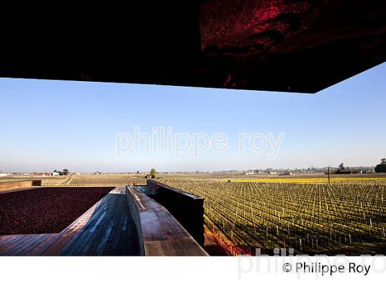 CHAI DU CHATEAU LA DOMINIQUE, JEAN NOUVEL , ARCHITECTE, VIGNOBLES FAYAT,   SAINT EMILION, GIRONDE. (33V41222.jpg)