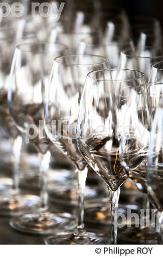 VERRES PPOUR DEGUSTATION DE VIN,    SAINT EMILION, GIRONDE. (33V41228.jpg)