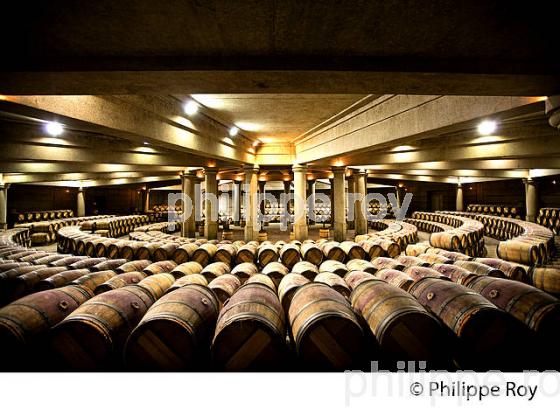 CHATEAU LAFITE ROTHSCHILD, PREMIER CRU CLASSE, PAUILLAC, VINS DU MEDOC, GIRONDE. (33V41231.jpg)