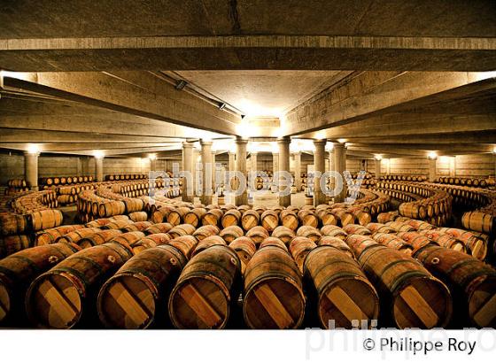 CHATEAU LAFITE ROTHSCHILD, PREMIER CRU CLASSE, PAUILLAC, VINS DU MEDOC, GIRONDE. (33V41233.jpg)