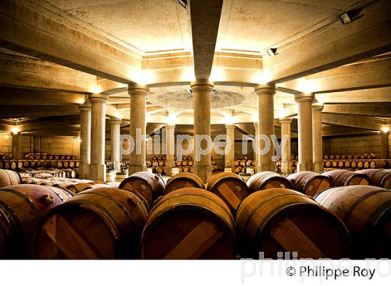 CHATEAU LAFITE ROTHSCHILD, PREMIER CRU CLASSE, PAUILLAC, VINS DU MEDOC, GIRONDE. (33V41234.jpg)