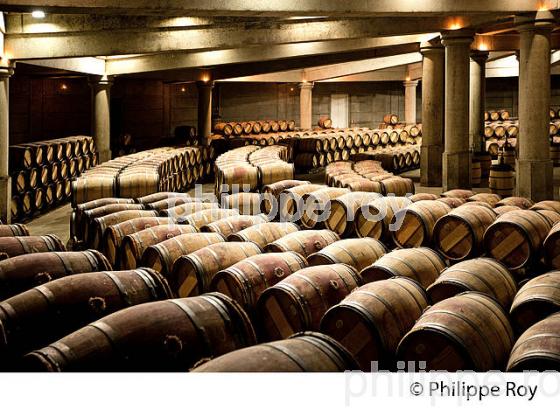 CHATEAU LAFITE ROTHSCHILD, PREMIER CRU CLASSE, PAUILLAC, VINS DU MEDOC, GIRONDE. (33V41235.jpg)