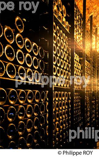 CHATEAU LAFITE ROTHSCHILD, PREMIER CRU CLASSE, PAUILLAC, VINS DU MEDOC, GIRONDE. (33V41240.jpg)