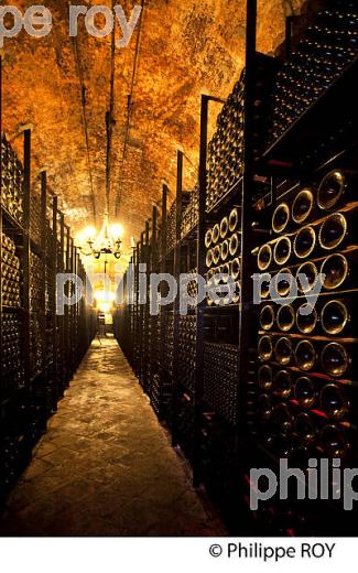CHATEAU LAFITE ROTHSCHILD, PREMIER CRU CLASSE, PAUILLAC, VINS DU MEDOC, GIRONDE. (33V41301.jpg)