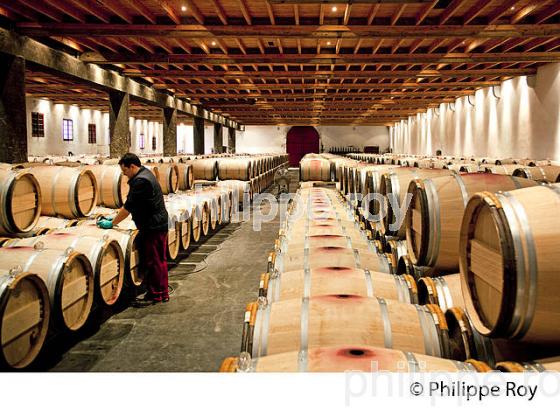 CHATEAU LAFITE ROTHSCHILD, PREMIER CRU CLASSE, PAUILLAC, VINS DU MEDOC, GIRONDE. (33V41305.jpg)