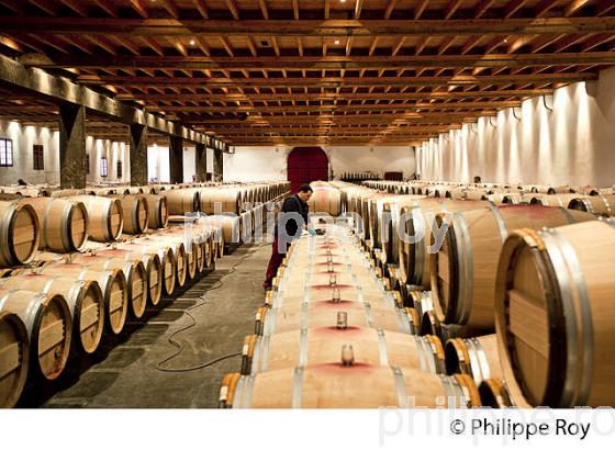 CHATEAU LAFITE ROTHSCHILD, PREMIER CRU CLASSE, PAUILLAC, VINS DU MEDOC, GIRONDE. (33V41306.jpg)