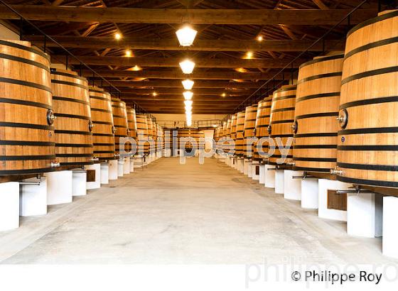 CHATEAU LAFITE ROTHSCHILD, PREMIER CRU CLASSE, PAUILLAC, VINS DU MEDOC, GIRONDE. (33V41308.jpg)