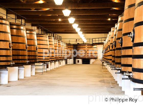CHATEAU LAFITE ROTHSCHILD, PREMIER CRU CLASSE, PAUILLAC, VINS DU MEDOC, GIRONDE. (33V41309.jpg)