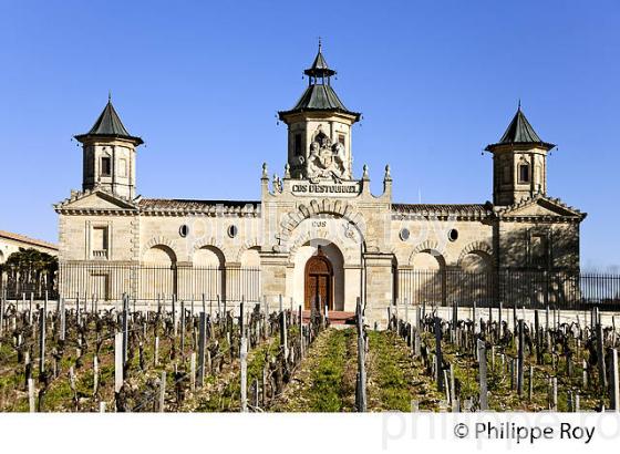 CHATEAU COS D' ESTOURNEL, AOC SAINT ESTEPHE, MEDOC, VINS DE BORDEAUX,  GIRONDE , AQUITAINE. (33V41324.jpg)