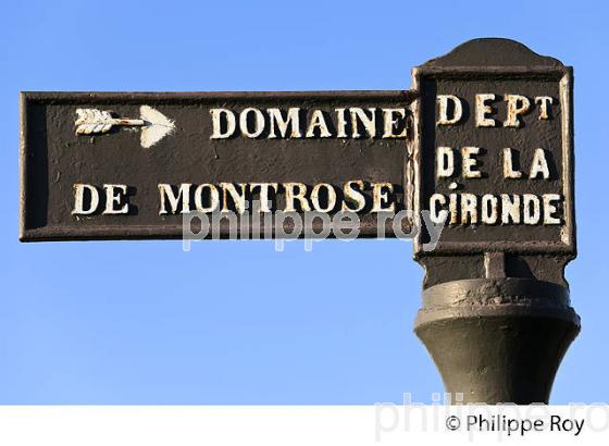 CHATEAU MONTROSE , AOC SAINT ESTEPHE, MEDOC, VINS DE BORDEAUX,  GIRONDE , AQUITAINE. (33V41429.jpg)