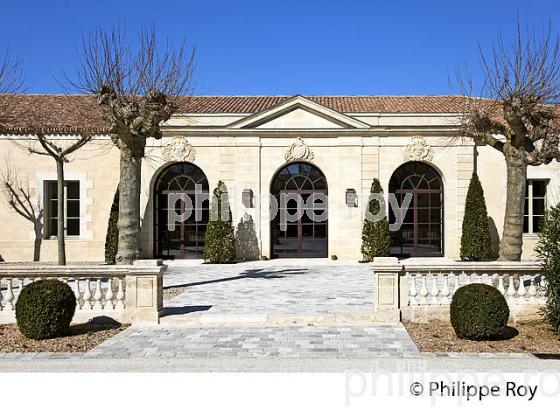 CHATEAU MONTROSE , AOC SAINT ESTEPHE, MEDOC, VINS DE BORDEAUX,  GIRONDE , AQUITAINE. (33V41505.jpg)