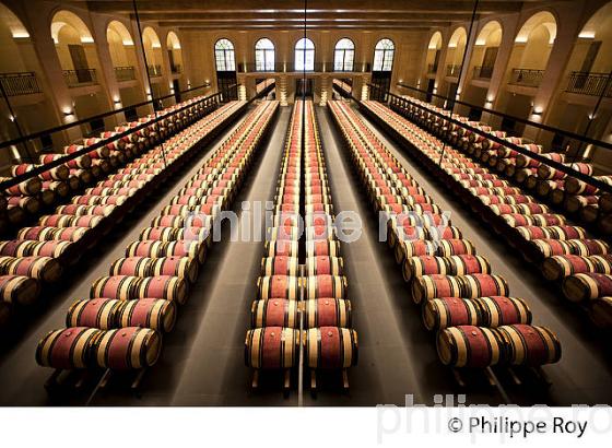 CHATEAU MONTROSE , AOC SAINT ESTEPHE, MEDOC, VINS DE BORDEAUX,  GIRONDE , AQUITAINE. (33V41520.jpg)