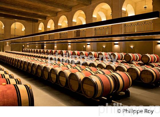 CHATEAU MONTROSE , AOC SAINT ESTEPHE, MEDOC, VINS DE BORDEAUX,  GIRONDE , AQUITAINE. (33V41524.jpg)
