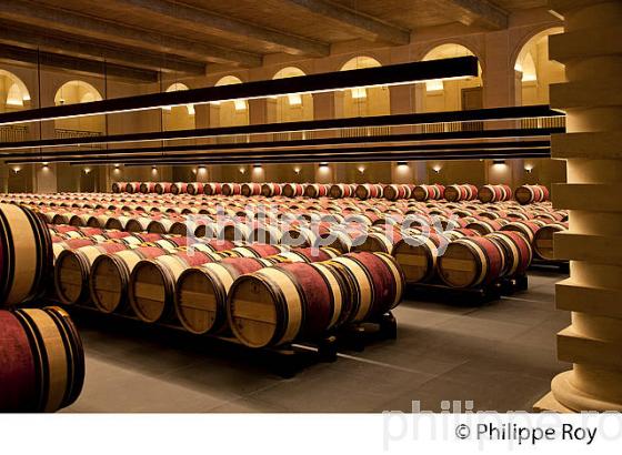 CHATEAU MONTROSE , AOC SAINT ESTEPHE, MEDOC, VINS DE BORDEAUX,  GIRONDE , AQUITAINE. (33V41525.jpg)