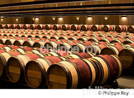 CHATEAU MONTROSE , AOC SAINT ESTEPHE, MEDOC, VINS DE BORDEAUX,  GIRONDE , AQUITAINE. (33V41526.jpg)