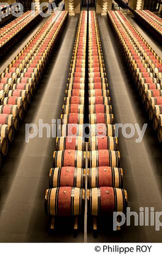 CHATEAU MONTROSE , AOC SAINT ESTEPHE, MEDOC, VINS DE BORDEAUX,  GIRONDE , AQUITAINE. (33V41527.jpg)