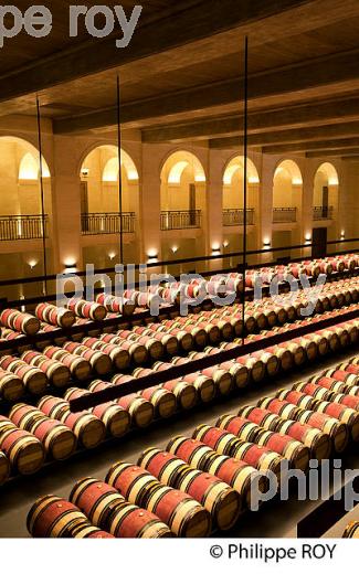 CHATEAU MONTROSE , AOC SAINT ESTEPHE, MEDOC, VINS DE BORDEAUX,  GIRONDE , AQUITAINE. (33V41528.jpg)