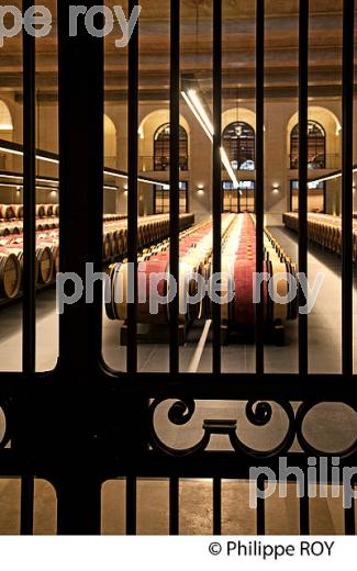 CHATEAU MONTROSE , AOC SAINT ESTEPHE, MEDOC, VINS DE BORDEAUX,  GIRONDE , AQUITAINE. (33V41534.jpg)