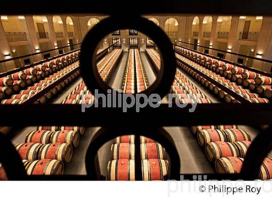 CHATEAU MONTROSE , AOC SAINT ESTEPHE, MEDOC, VINS DE BORDEAUX,  GIRONDE , AQUITAINE. (33V41535.jpg)