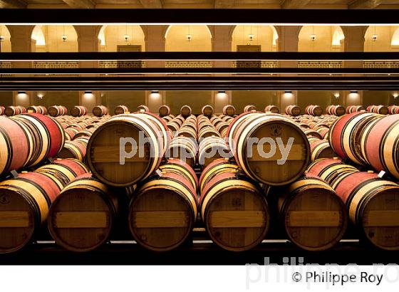 CHATEAU MONTROSE , AOC SAINT ESTEPHE, MEDOC, VINS DE BORDEAUX,  GIRONDE , AQUITAINE. (33V41601.jpg)
