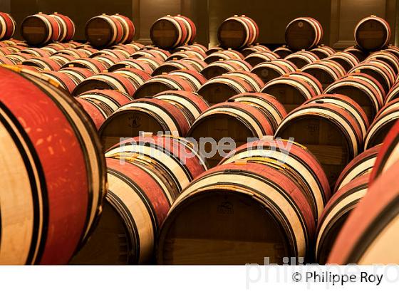 CHATEAU MONTROSE , AOC SAINT ESTEPHE, MEDOC, VINS DE BORDEAUX,  GIRONDE , AQUITAINE. (33V41603.jpg)
