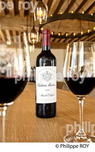 CHATEAU MONTROSE , AOC SAINT ESTEPHE, MEDOC, VINS DE BORDEAUX,  GIRONDE , AQUITAINE. (33V41611.jpg)