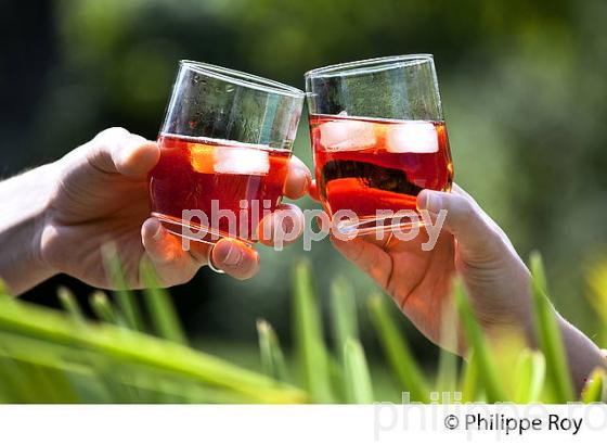 DEGUSTATION VIN ROSE PISCINE AVEC GLACON. (33V41622.jpg)