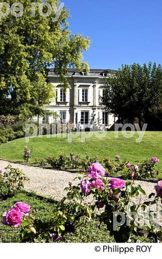 CHATEAU TESSENDEY, AOC, FRONSAC, VIGNOBLE DE BORDEAUX, GIONDE. (33V41805.jpg)