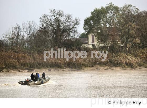 VISITE DE L'ILE MARGAUX, ESTUAIRE DE LA GIRONDE,  MARGAUX, MEDOC, GIRONDE. (33V41815.jpg)