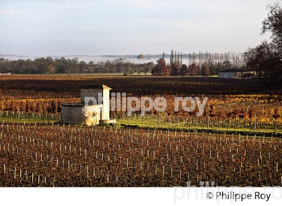 MARGAUX SAVEURS, 2015, DECOUVERTE DES CHATEAUX DE L' AOC  MARGAUX, MEDOC, GIRONDE. (33V41904.jpg)