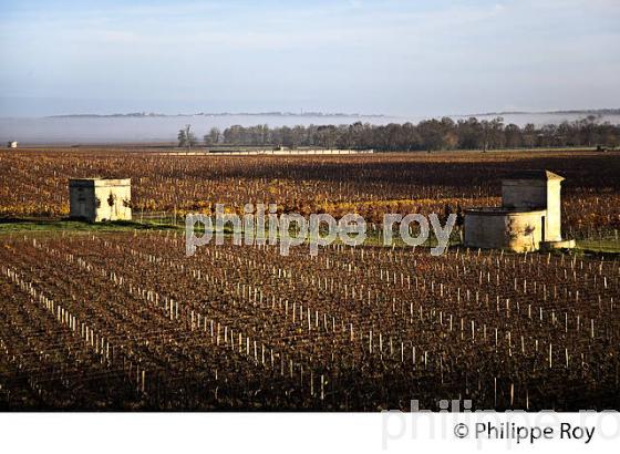 MARGAUX SAVEURS, 2015, DECOUVERTE DES CHATEAUX DE L' AOC  MARGAUX, MEDOC, GIRONDE. (33V41905.jpg)