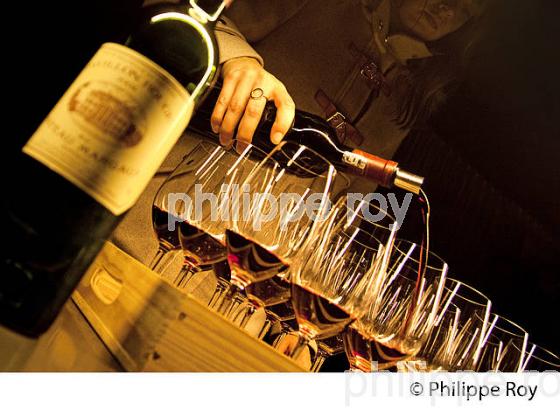 CHATEAU MARGAUX PREMIER GRAND CRU CLASSE ,   MARGAUX, MEDOC, GIRONDE. (33V41924.jpg)