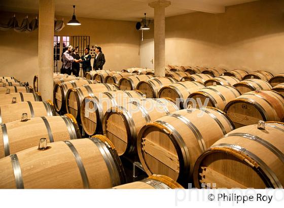 CHATEAU MAROJALLIA , AOC  MARGAUX, MEDOC, VINS DE BORDEAUX,  GIRONDE. (33V41932.jpg)