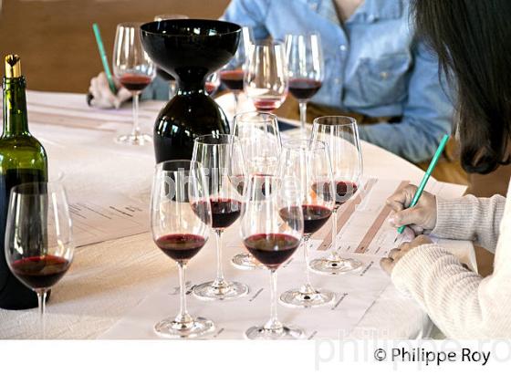 DEGUSTATION DE VIN, AOC MARGAUX,  MEDOC, GIRONDE. (33V42030.jpg)