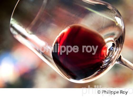 DEGUSTATION DE VIN, AOC MARGAUX,  MEDOC, GIRONDE. (33V42033.jpg)