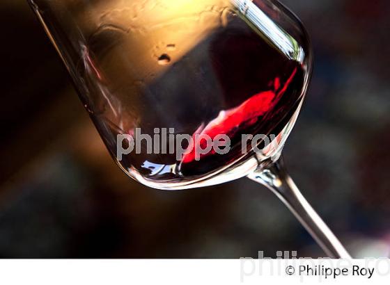 DEGUSTATION DE VIN, AOC MARGAUX,  MEDOC, GIRONDE. (33V42036.jpg)
