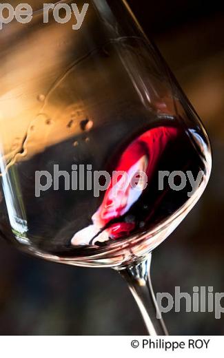DEGUSTATION, VERRE DE VIN ROUGE, MARGAUX, MEDOC,   VINS DE BORDEAUX. (33V42037-ok.jpg)
