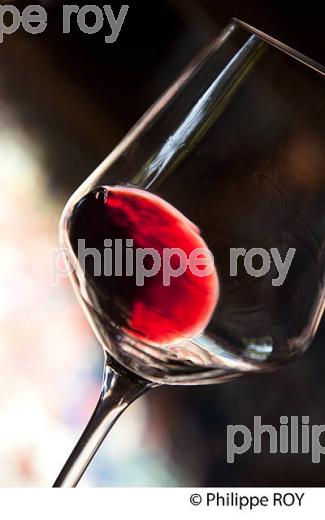 DEGUSTATION DE VIN, AOC MARGAUX,  MEDOC, GIRONDE. (33V42038.jpg)
