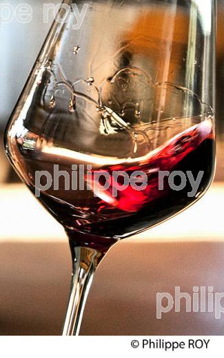DEGUSTATION, VERRE DE VIN ROUGE, MARGAUX, MEDOC,   VINS DE BORDEAUX. (33V42102-ok.jpg)