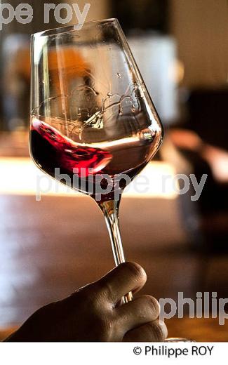 DEGUSTATION DE VIN, AOC MARGAUX,  MEDOC, GIRONDE. (33V42102.jpg)