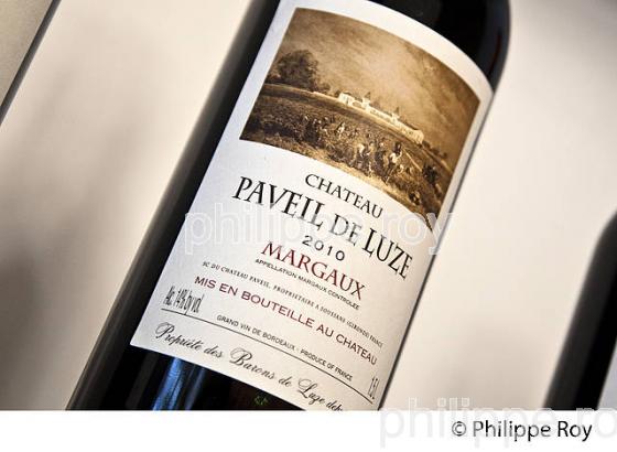 CHATEAU PAVEIL DE LUZE, AOC MARGAUX ,  MEDOC, GIRONDE. (33V42109.jpg)