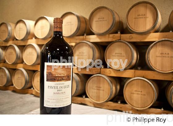 CHATEAU PAVEIL DE LUZE, AOC MARGAUX ,  MEDOC, GIRONDE. (33V42110.jpg)