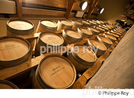 CHATEAU PAVEIL DE LUZE, AOC MARGAUX ,  MEDOC, GIRONDE. (33V42111.jpg)