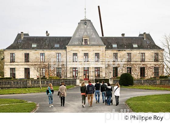 CHATEAU D' ARSAC ,  AOC  MARGAUX, MEDOC, GIRONDE. (33V42122.jpg)
