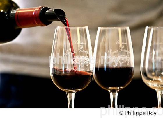 OENOTOURISME, CHATEAU CROIX BEAUSEJOUR, AOC MONTAGNE SAINT EMILION, VINS DE BORDEAUX, GIRONDE FRANCE. (33V42406.jpg)