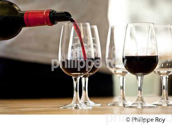 OENOTOURISME, CHATEAU CROIX BEAUSEJOUR, AOC MONTAGNE SAINT EMILION, VINS DE BORDEAUX, GIRONDE FRANCE. (33V42407.jpg)