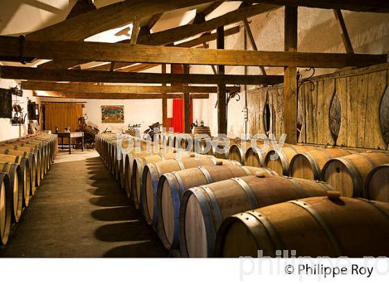 CHATEAU CROIX BEAUSEJOUR, AOC MONTAGNE SAINT EMILION, VINS DE BORDEAUX, GIRONDE FRANCE. (33V42418.jpg)