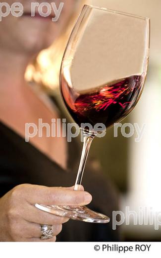 CHATEAU LA FLEUR PLAISANCE, AOC MONTAGNE SAINT EMILION, VINS DE BORDEAUX, GIRONDE FRANCE. (33V42428.jpg)