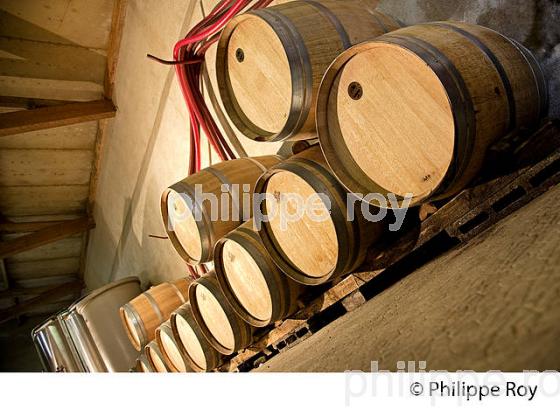CHATEAU LA FLEUR PLAISANCE, AOC MONTAGNE SAINT EMILION, VINS DE BORDEAUX, GIRONDE FRANCE. (33V42435.jpg)