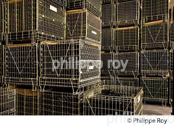 STOCKAGE BOUTEILLES DE VIN, AOC MONTAGNE SAINT-EMILION, VINS DE BORDEAUX, GIRONDE. (33V43317.jpg)